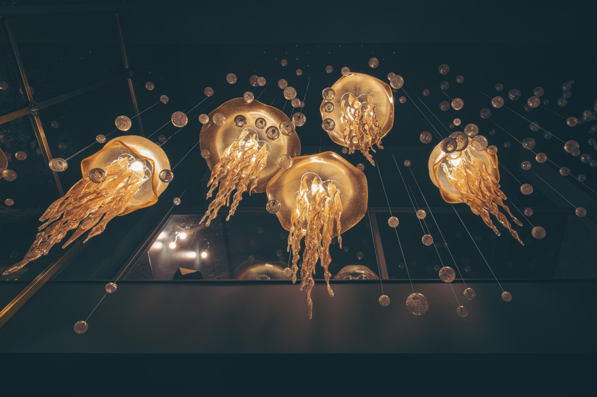 Blown glass jellyfish chandelier Blown design